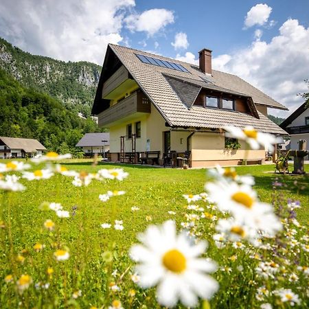 Apartments Darinka Mencinger Bohinji-tó Kültér fotó