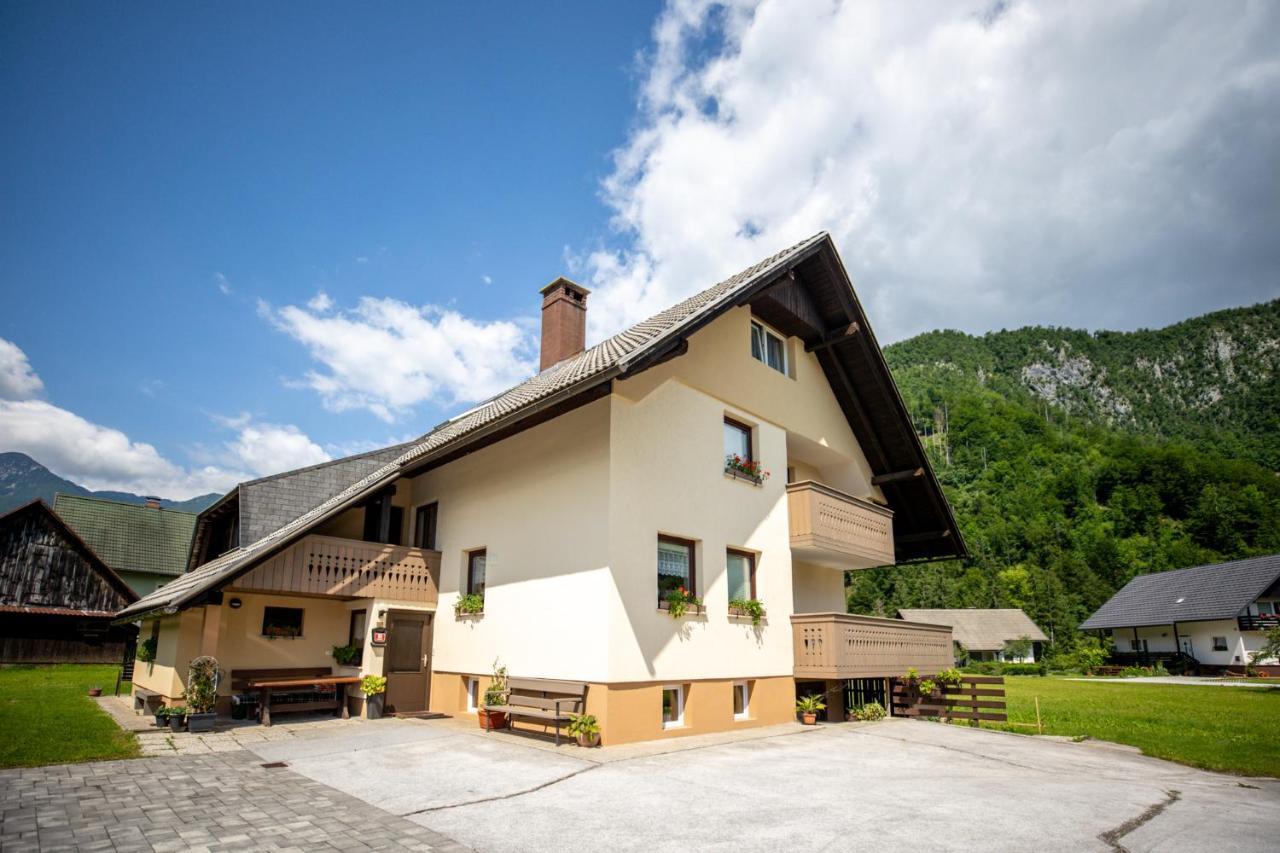 Apartments Darinka Mencinger Bohinji-tó Kültér fotó