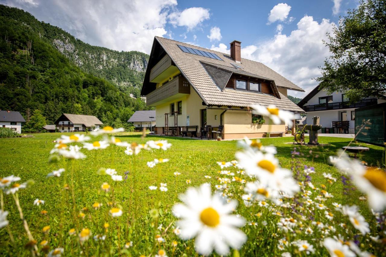 Apartments Darinka Mencinger Bohinji-tó Kültér fotó
